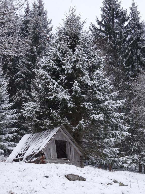 Villa Rojerhof à Schladming Extérieur photo