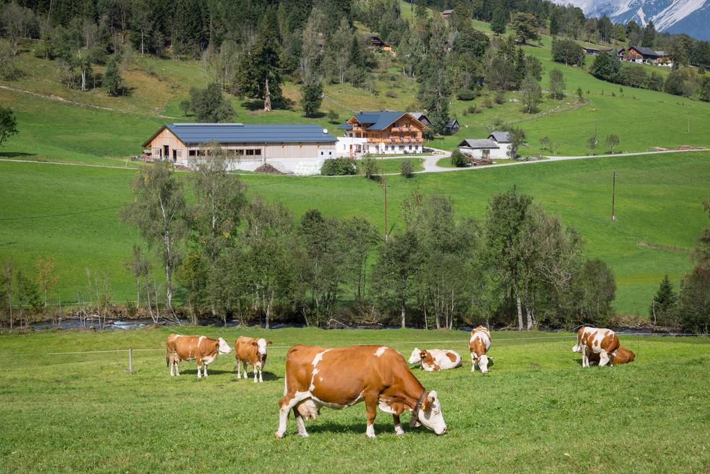 Villa Rojerhof à Schladming Extérieur photo